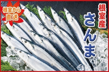 �y�k�C�������Y�z�Ⓚ���T���}20���i�^��p�b�N5����×4P�j A-71050