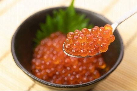 ＜12月8日決済分まで年内配送＞【北海道根室産】醤油イクラ100g×8P C-66014