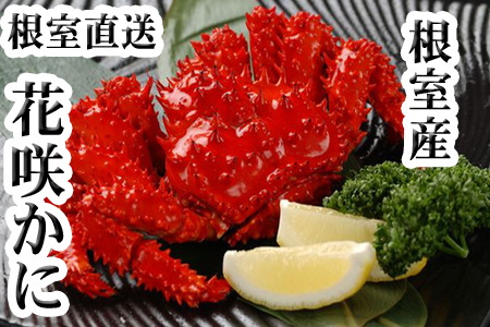 [1221ϕ܂ŔNz]ykCYzԍ炩400gO`500gO×4 C-30031