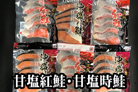 [1221ϕ܂ŔNz]Ég5×6PAÉ5×6PZbg(v60) C-36004