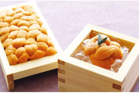 G]otEj100g×5[2026N2{ȍ~] E-40010