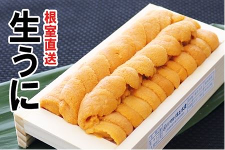 G]otEj140`150g×2[11{ȍ~] D-53034
