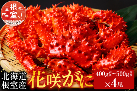 [1221ϕ܂ŔNz]ykCYzԍ炩400gO`500gO×4 C-70031