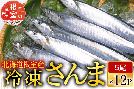 [1221ϕ܂ŔNz]ykCYzⓀ60 D-70002