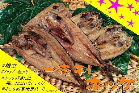 [北海道根室産]一夜干しホッケ5枚