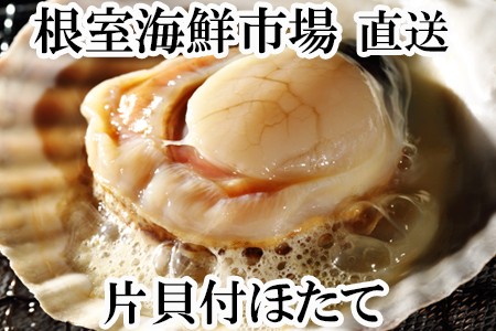 yNzz_Ǝ҉i^ЊLق10×2P A-14134