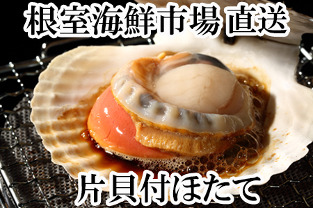 _Ǝ҉i^CNs[]ЊLق10×2P A-28124