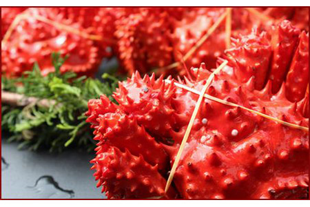 [1221ϕ܂ŔNz]ykCYzԍKj300`400g×6 A-57004