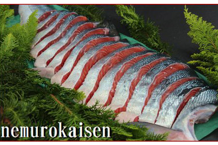 銀毛鮭の半身切身 A-57014