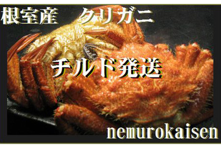[北海道根室産]クリガニ計2kg詰め合わせ(チルド便)