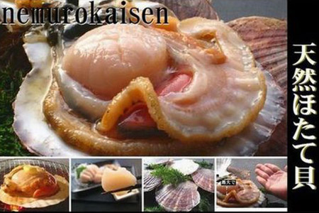 [1221ϕ܂ŔNz]_Ǝ҉i^ykCYzz^eL 2kgO l A-57030