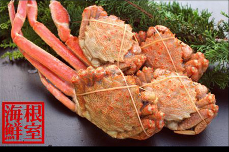 [12月21日決済分まで年内配送]ズワイガニとクリガニの食べ比べセット