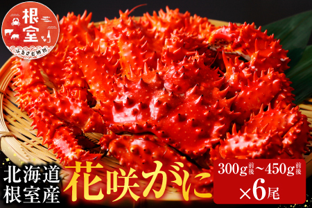 [1221ϕ܂ŔNz]ykCYzԍ炩300g`450gO×6 C-70005