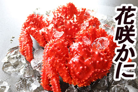 [1221ϕ܂ŔNz]ykCYzԍ炩400`600g×10 D-36007