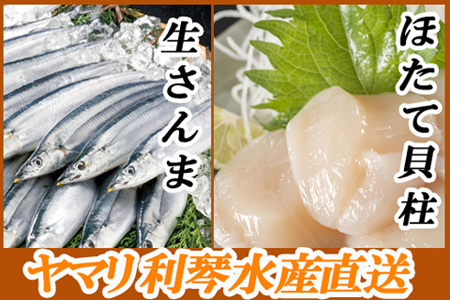 yNzzⓀ܁EقĊLZbg C-70038