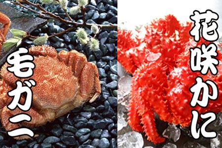 [1221ϕ܂ŔNz]тɁEԍ炩ɃZbg D-36037