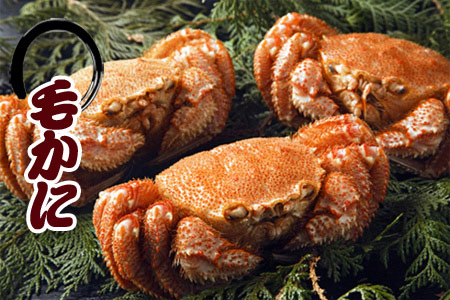 [1221ϕ܂ŔNz]т400gO`550gO×4 D-30036