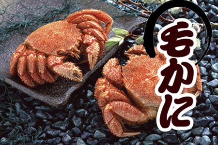 [1221ϕ܂ŔNz]т400gO`550gO×4 D-36038