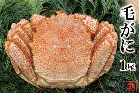 ykCYz{CъI600g`1kg×1 B-27009