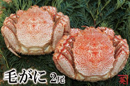 ykCYz{CъI400g`480g×2 B-27010