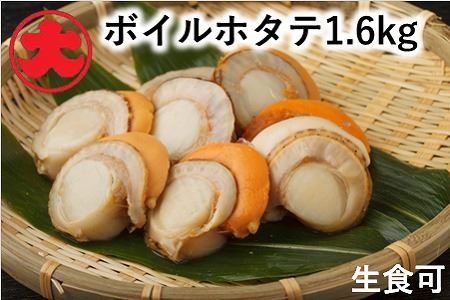 _Ǝ҉i^ykCYz{Cق1.6kg B-01047