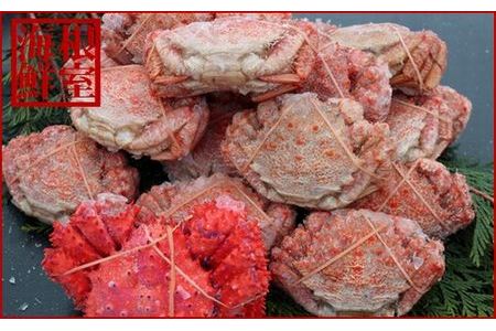 [1221ϕ܂ŔNz]ykCYzNKj15`21(v3kgO)AԍKj1 A-57043