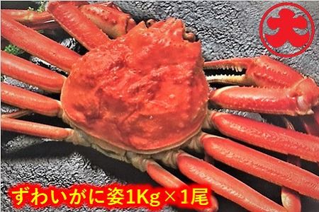 ずわいがに姿1kg×1尾 C-01036