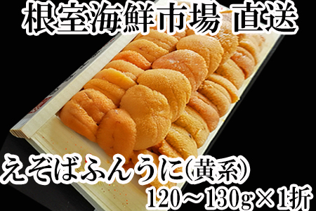 根室海鮮市場[直送]エゾバフンウニ(黄系)約120～130g×1折 B-28045