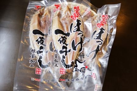 【北海道根室産】干物セット3種(ほっけ・いか・こまい) B-32016