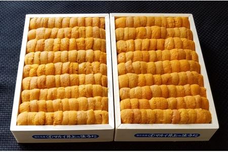 エゾバフンウニ弁当並べ詰め150g×2折[11月中旬以降順次発送]