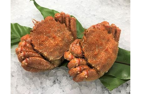 毛がに350g×2尾