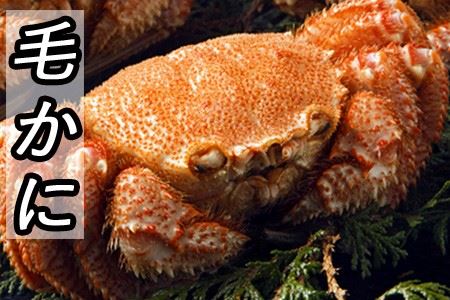 [1221ϕ܂ŔNz]т400gO`550gO×1 B-30021