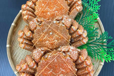 yNzzykCYzъI600g×3 D-66013