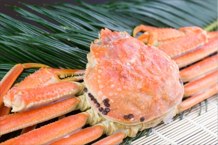 ずわい蟹600g×5尾 D-66014