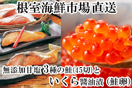 無添加天然甘塩鮭3種各15切、いくら醤油漬け(鮭卵)70g×1P B-11043