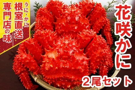 北海道産 ボイル 花咲蟹（姿）400g×2尾 | 北海道えりも町 | ふるさと