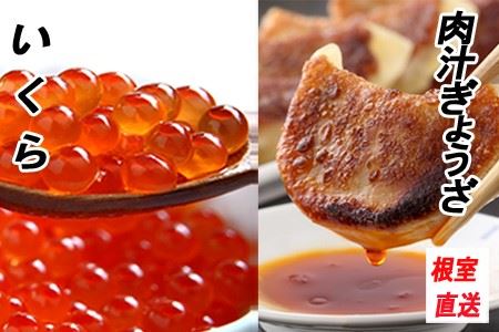 yNzzLq25×2PAݖЂ100g×2P B-70029