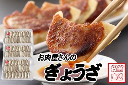 yNzzLq25×3P B-70041