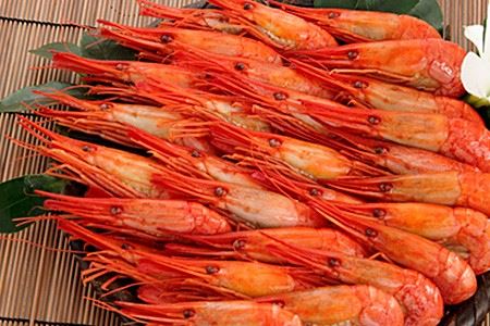 [北海道根室産]北海シマエビ500g(24〜30尾)