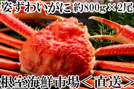 ボイル本ズワイガニ姿約800g×1尾 A-14226 | 北海道根室市 | ふるさと