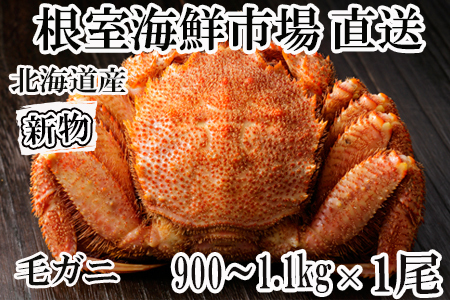 根室海鮮市場[直送]ボイル毛がに900g～1.1kg×1尾 ＜12月8日決済分まで年内配送＞D-28054