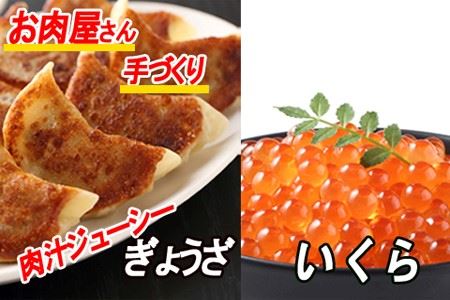 Lq25×1PAݖЂ100g×1P A-30041