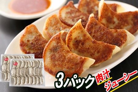Lq25×3P B-30041