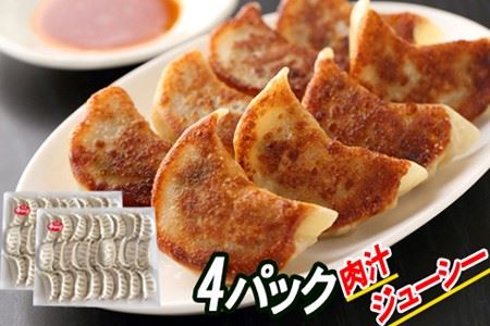 Lq25×4P C-30066