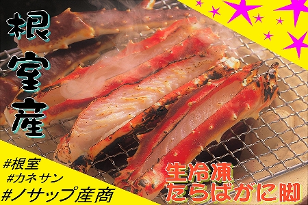 ykCYzⓀ΂ɋr(Jbgς)1.6kg D-59029