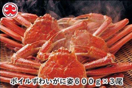 [1221ϕ܂ŔNz]{C킢Ɏp600g×3 F-01008