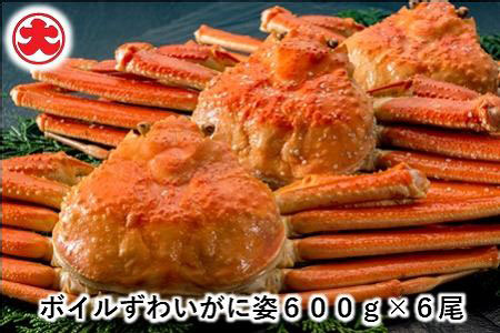 ボイルずわいがに姿600g×6尾