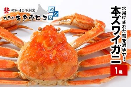 浜ゆで本ズワイガニ600～700g前後×1尾 A-25019
