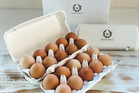 yNzzykCYzĝ܂10×6P(v60) F-39001