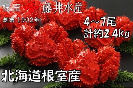 ykCYz{Cԍ炩4`7(v2.4kg) C-42080